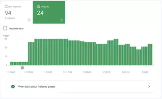 Google Search Console GSC Index Page