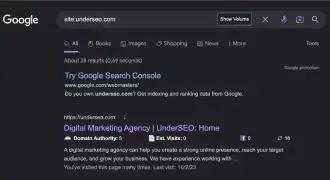 Google Search result on site Google Search result on site