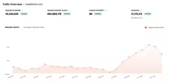 Ubersuggest Traffic Overview