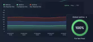 Website Server Speed