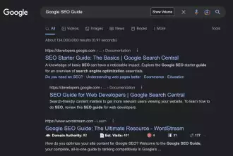 Google Search Result Serp